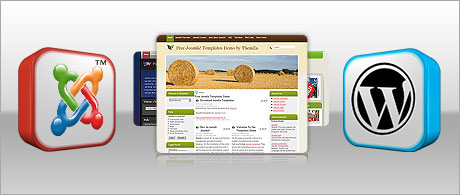 Free-of-cost website skins